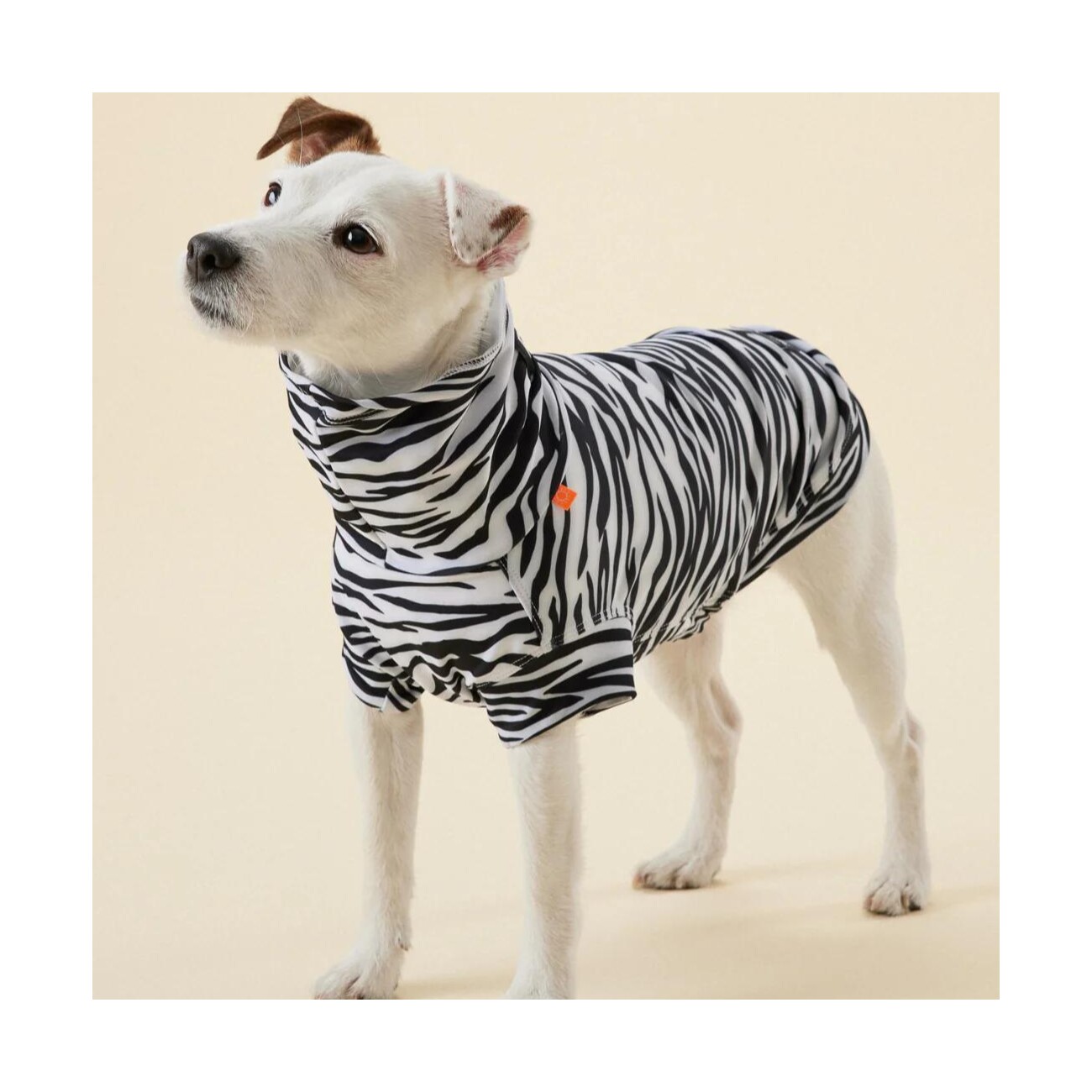 Paikka UV & Bug Shirt - Repeltec 30 cm