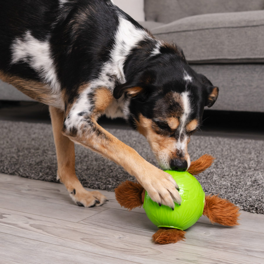Porta-petiscos interativo em formato de bola para cães Outward Hound Nina Ottosson Snuffle n' Treat