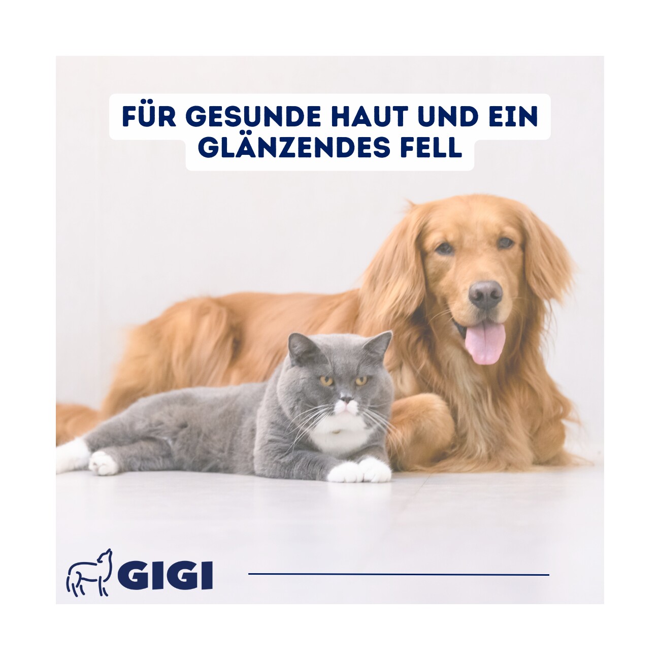 GIGI VET Haut & Fell Für Hunde und Katzen 21 Stück