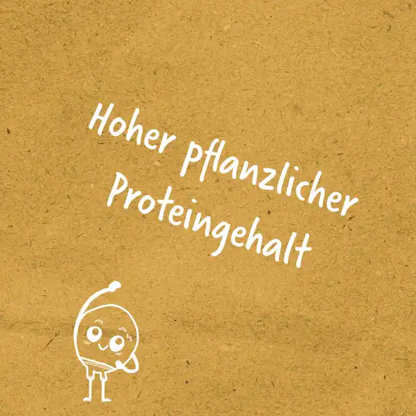 Vegane Hackröllchen