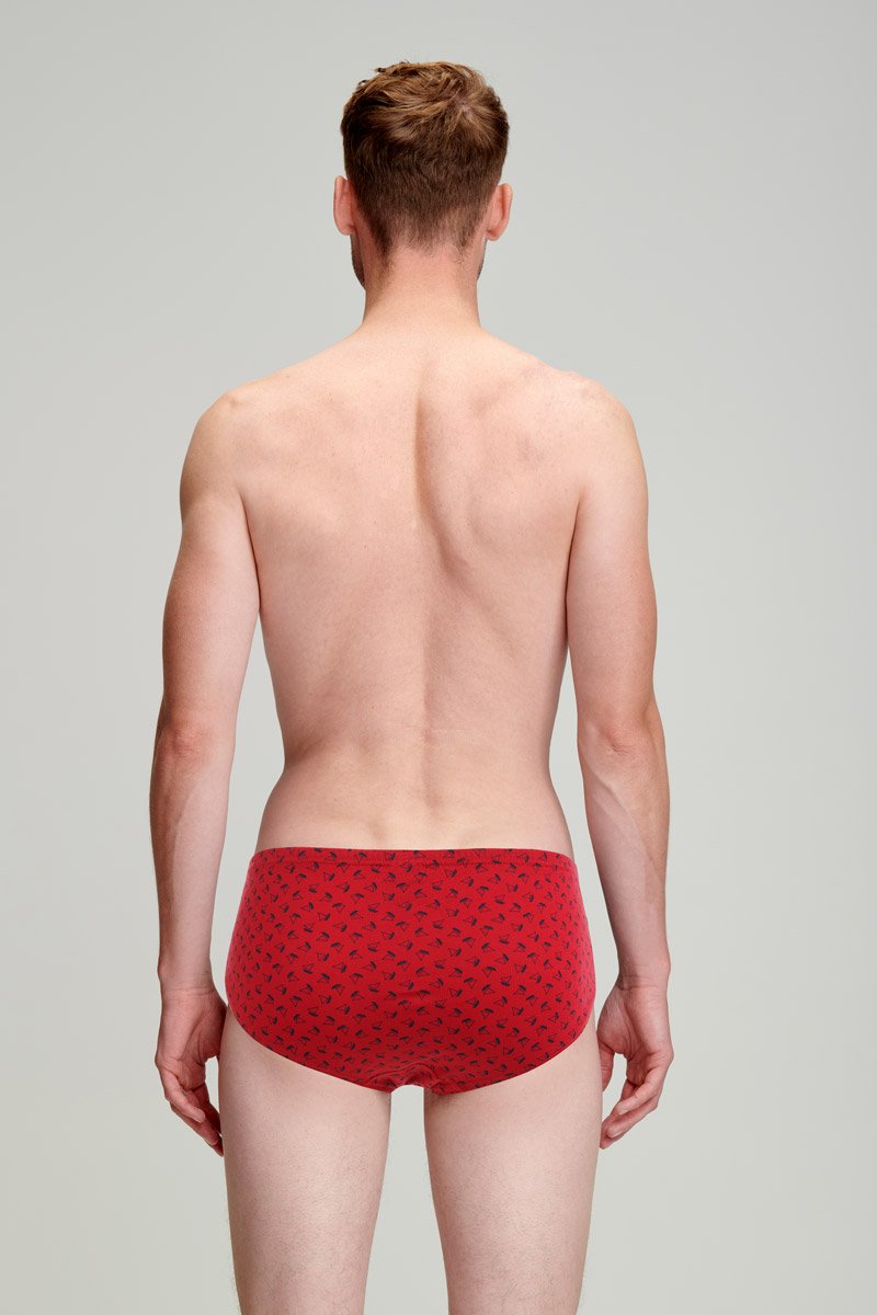 Slip motifs 