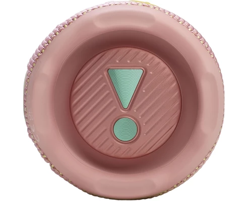 JBL Flip 7 - Pink