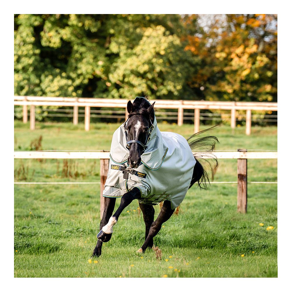 Horseware RAMBO DUO BUNDLE 100G + LINER 100G ET 300G -  Couverture de paddock + couvre-cou grey/teal/gold/navy