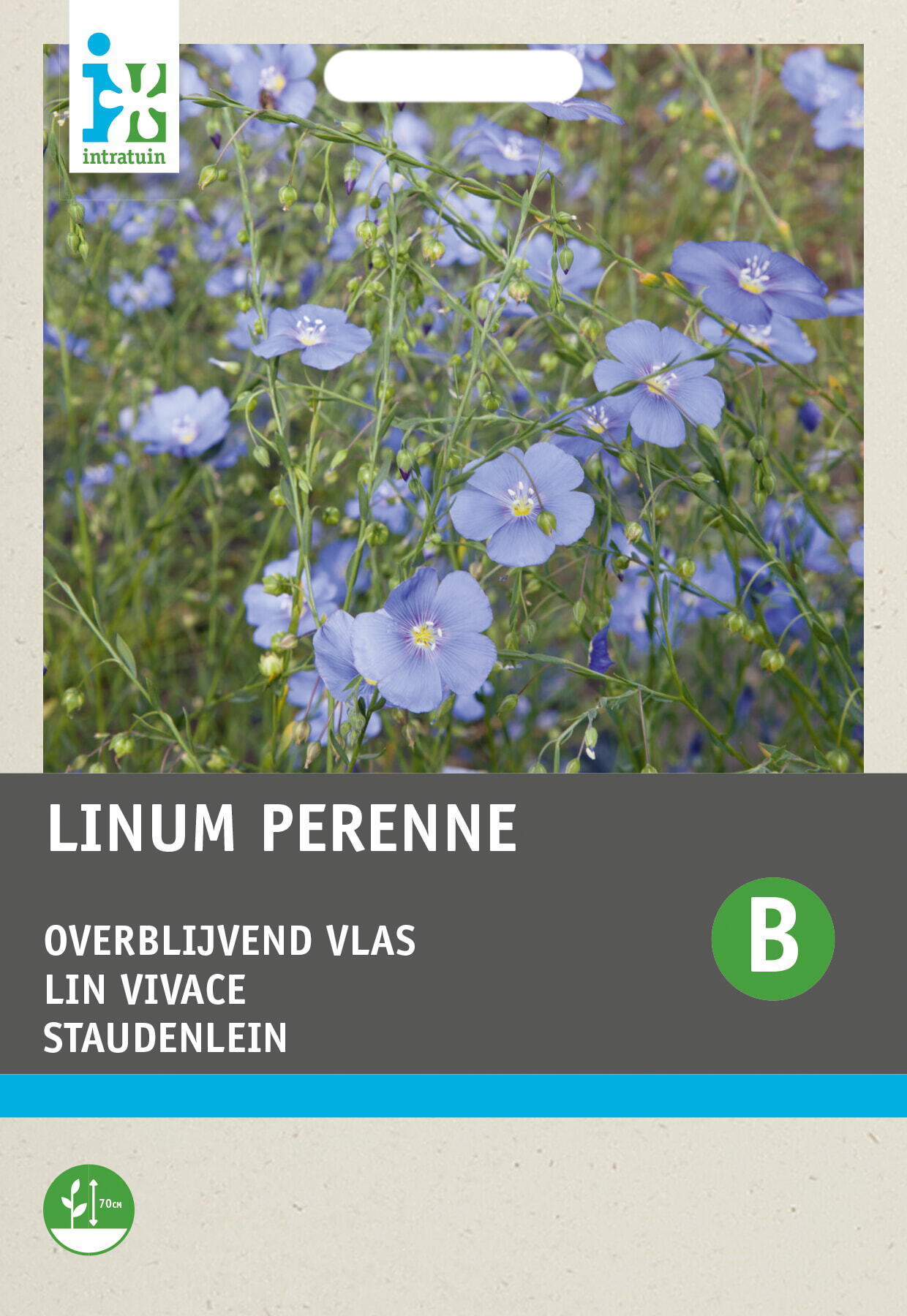 Intratuin bloemenzaad Vlas blauw (Linum perenne)
