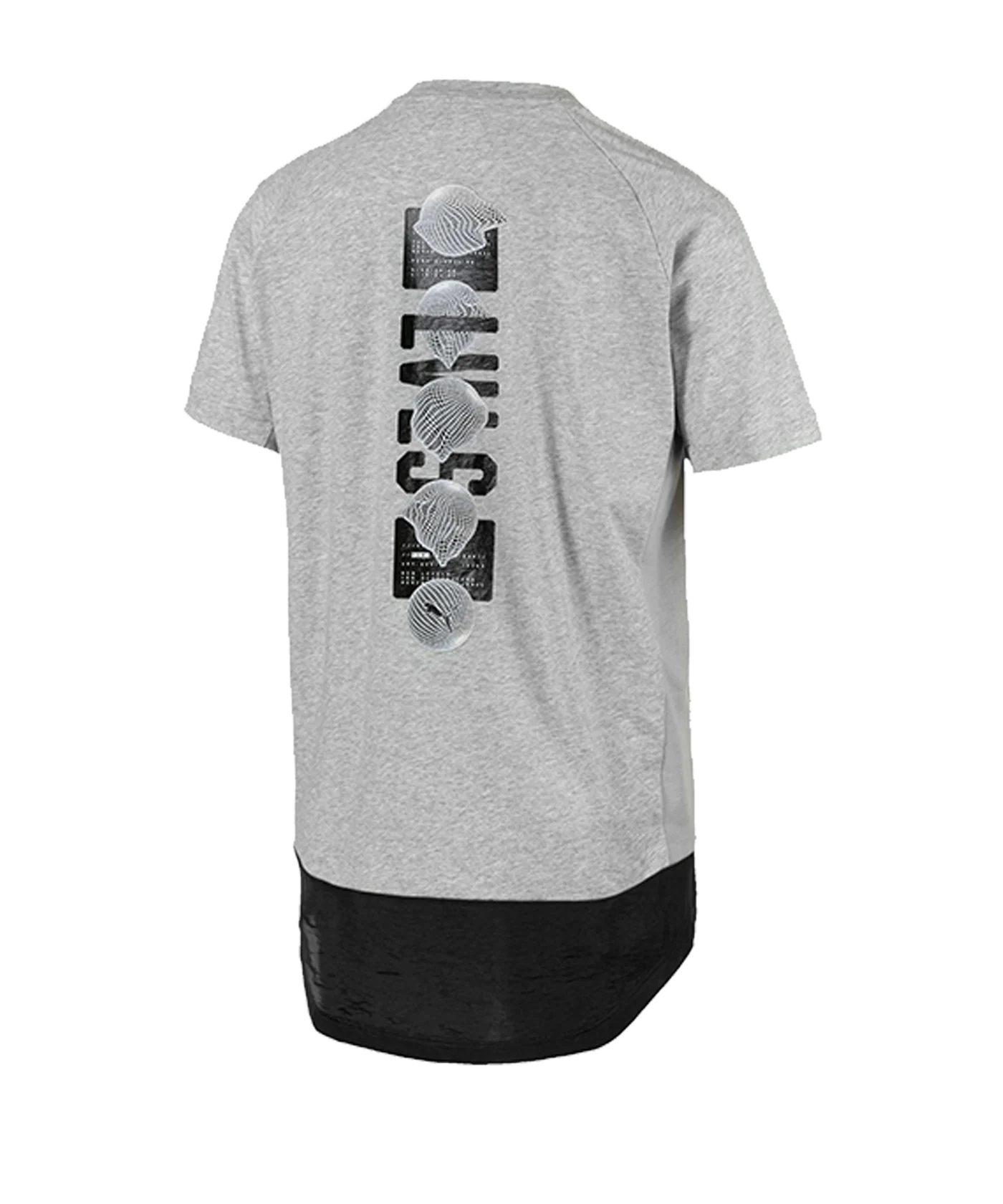 PUMA ftblNXT Casuals Graphic T-Shirt Grau F02