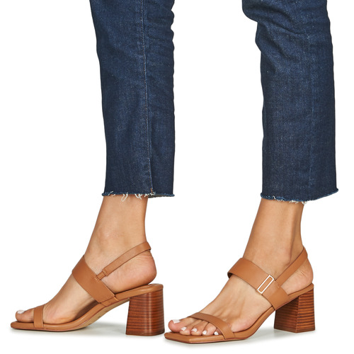 Aldo - FIDLES - Camel
