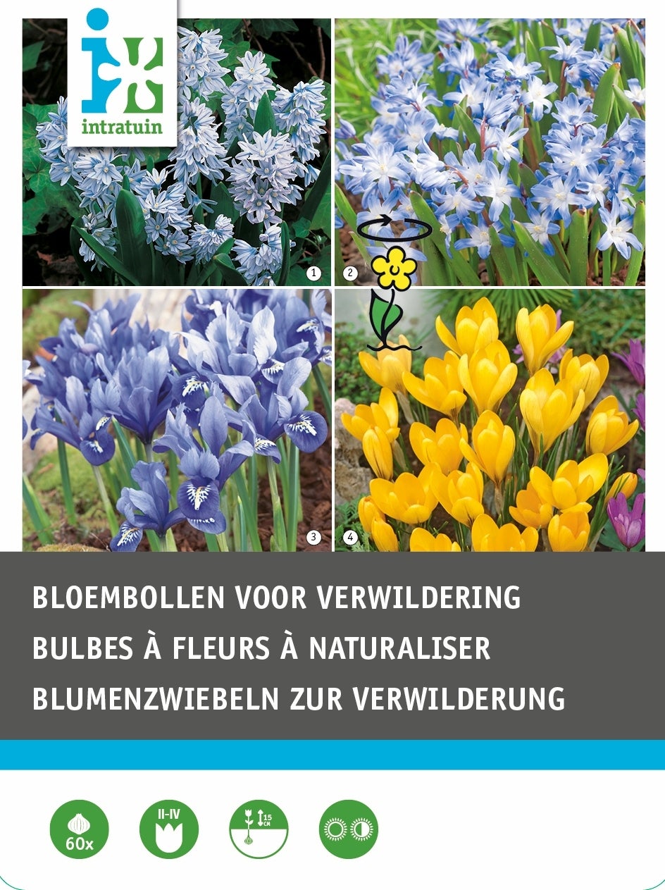 Intratuin bloembollen(voor verwildering) gemengd 60 stuks