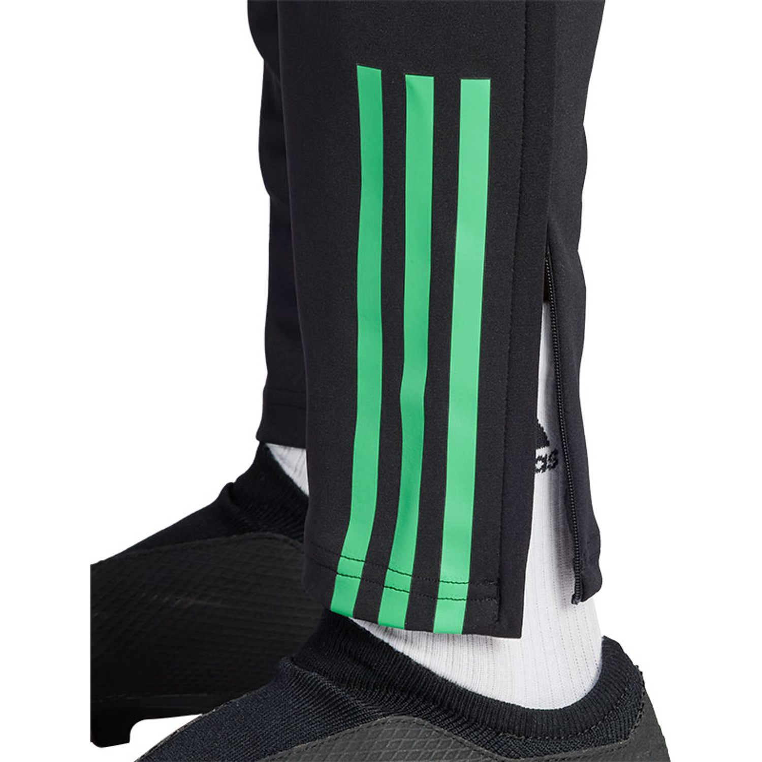 adidas Bayern München Training Pant 2023/2024