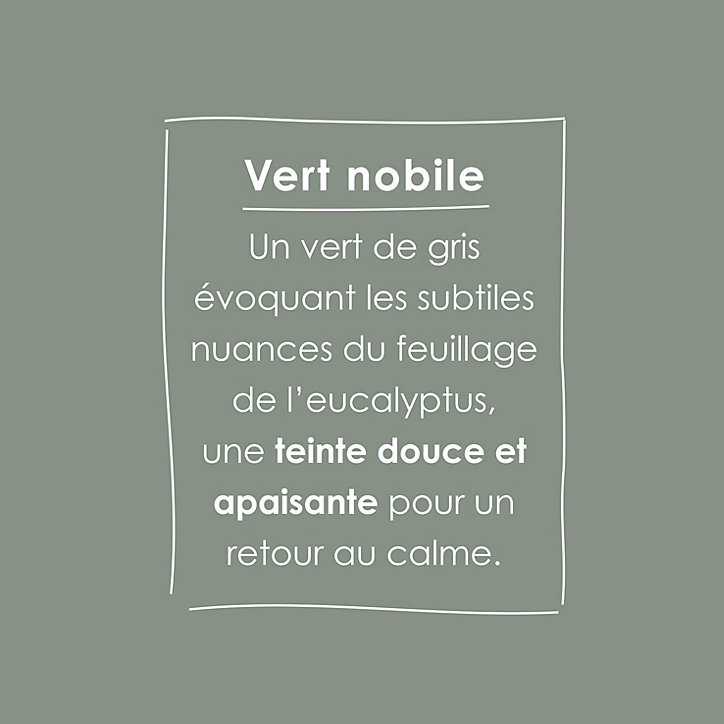 Testeur peinture intérieure Ripolin O'Pur vert nobile satin 75ml