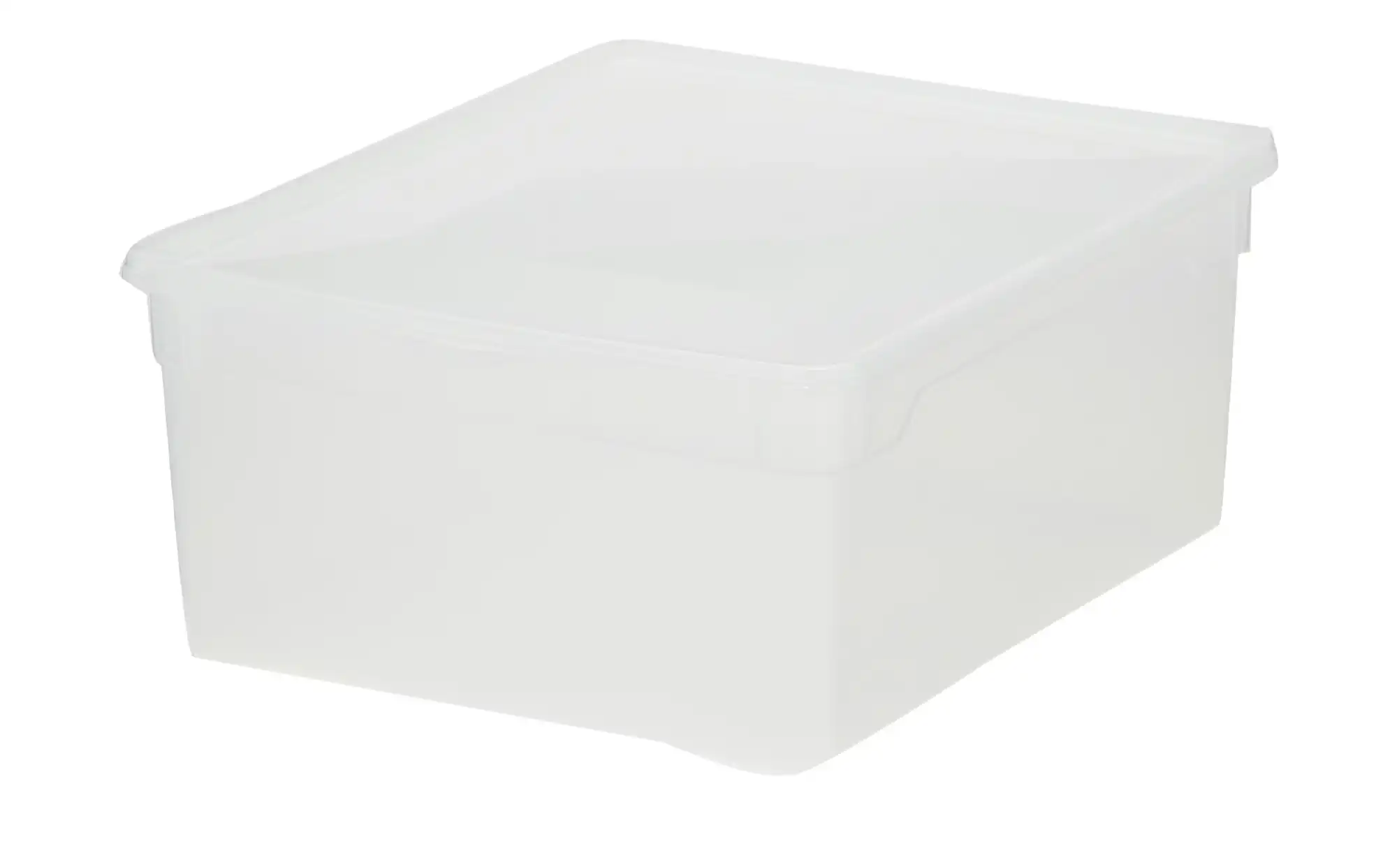 Rotho Aufbewahrungsbox, 2er Set