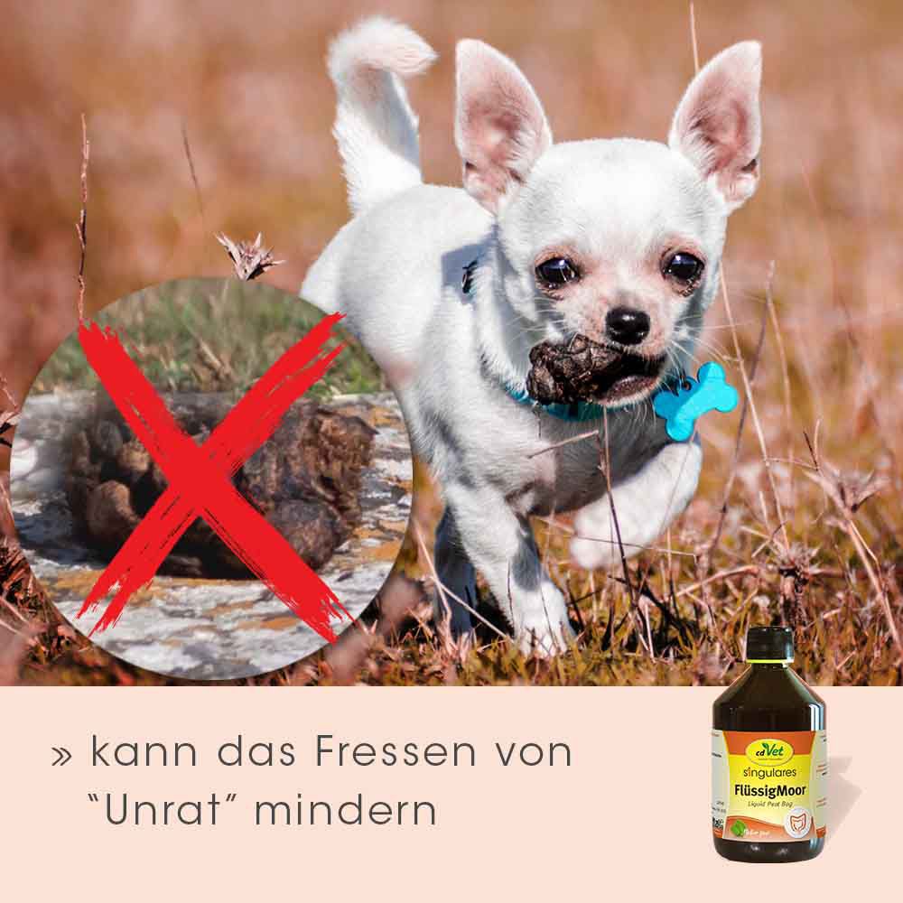 cdVet singulares FlüssigMoor