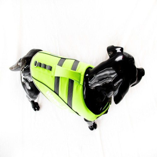 Colete salva-vidas para cães em cores neon