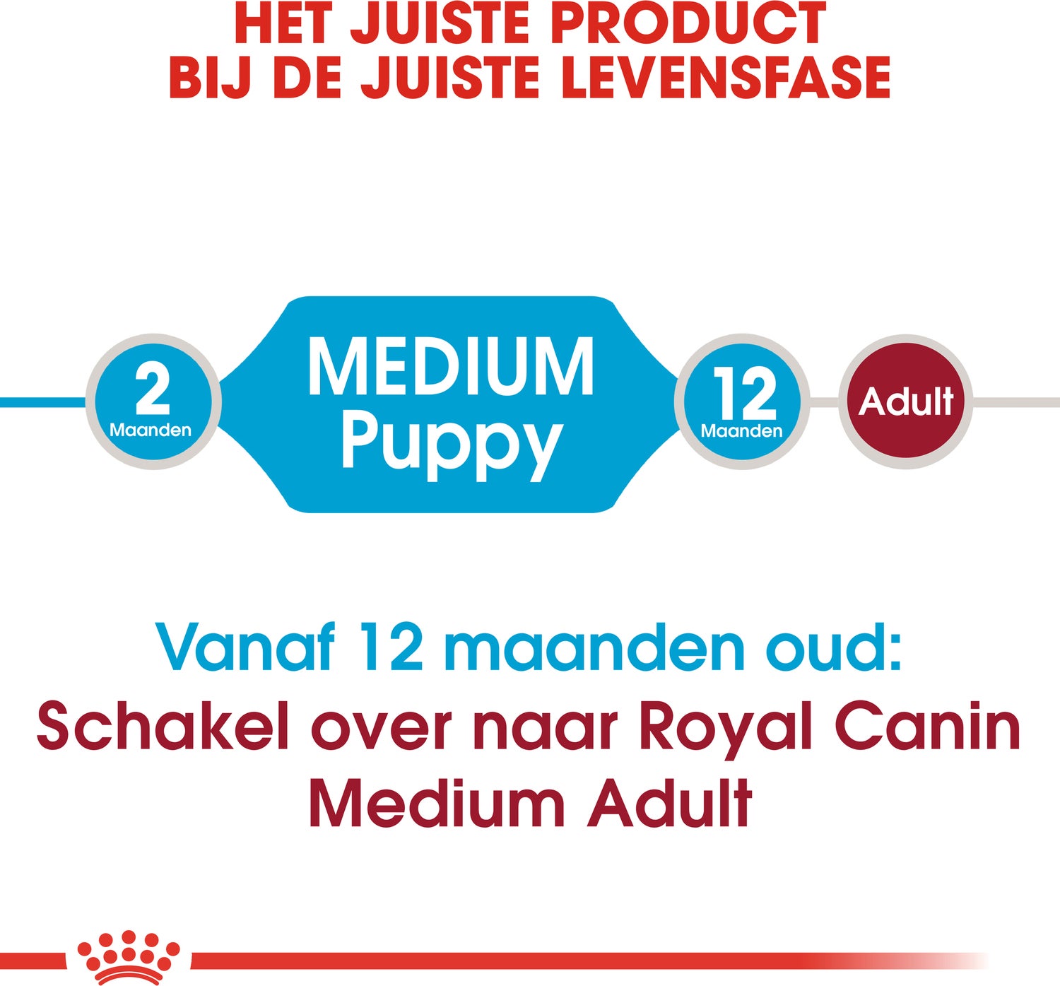 Royal Canin Medium Puppy 4 kg