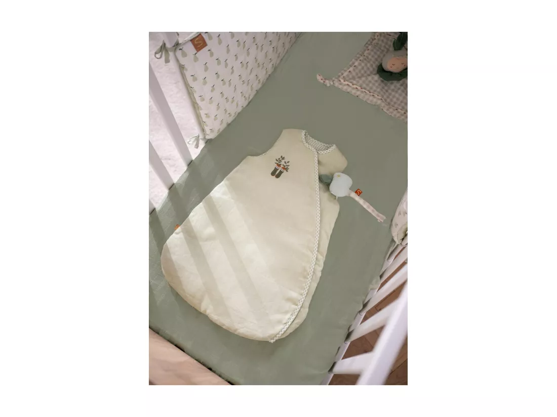 Lot de 2 draps housse bébé en coton bio