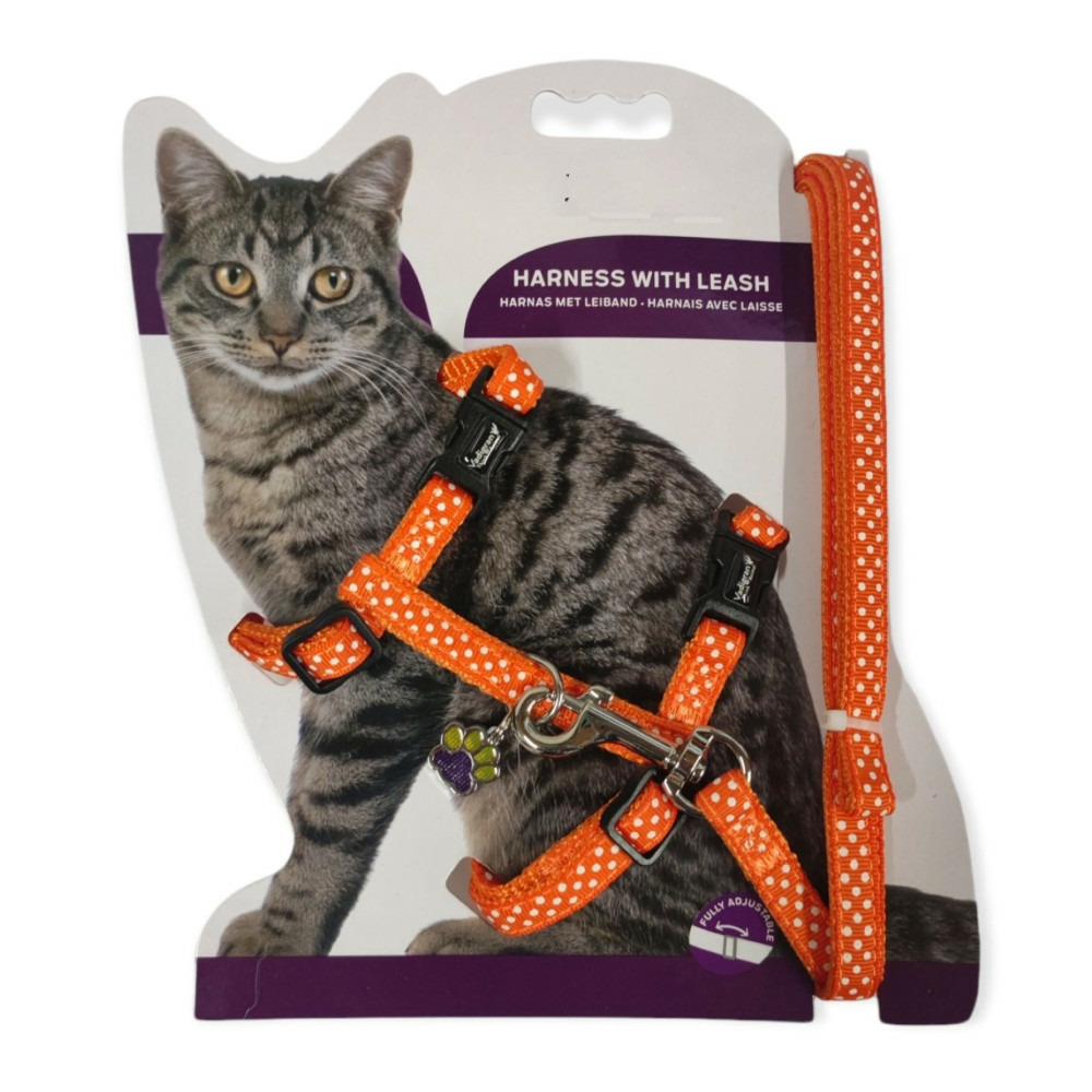 Harnais + laisse 120 cm, à pois orange, réglable, pour chat.