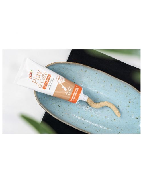 Prins Play&Care - Kattensnack - Zalm 75 g