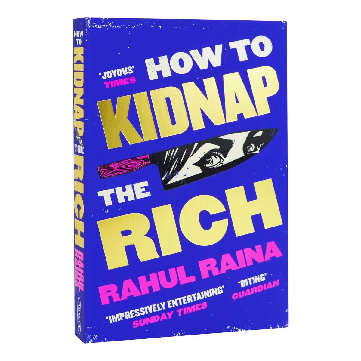 How to Kidnap the Rich (Paperback)