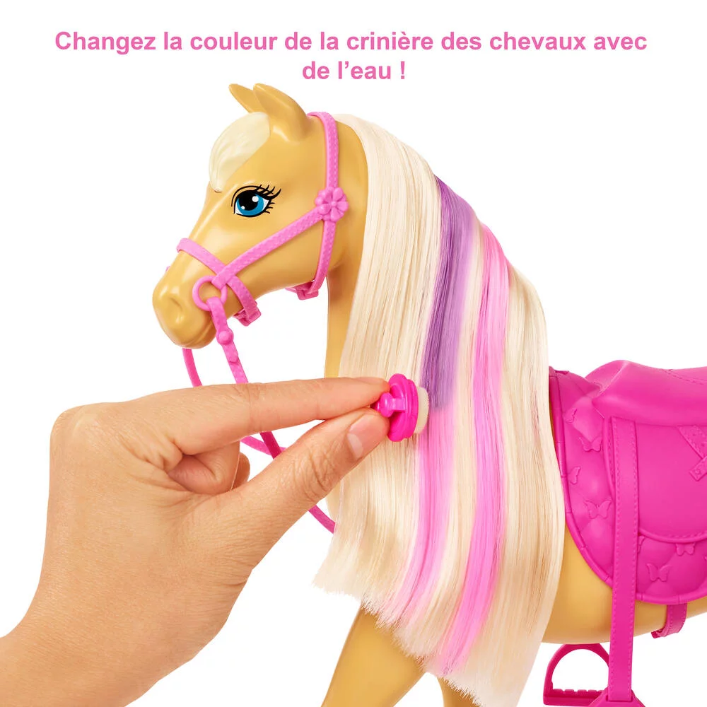 BARBIE COFFRET TOILETTAGE DES CHEVAUX