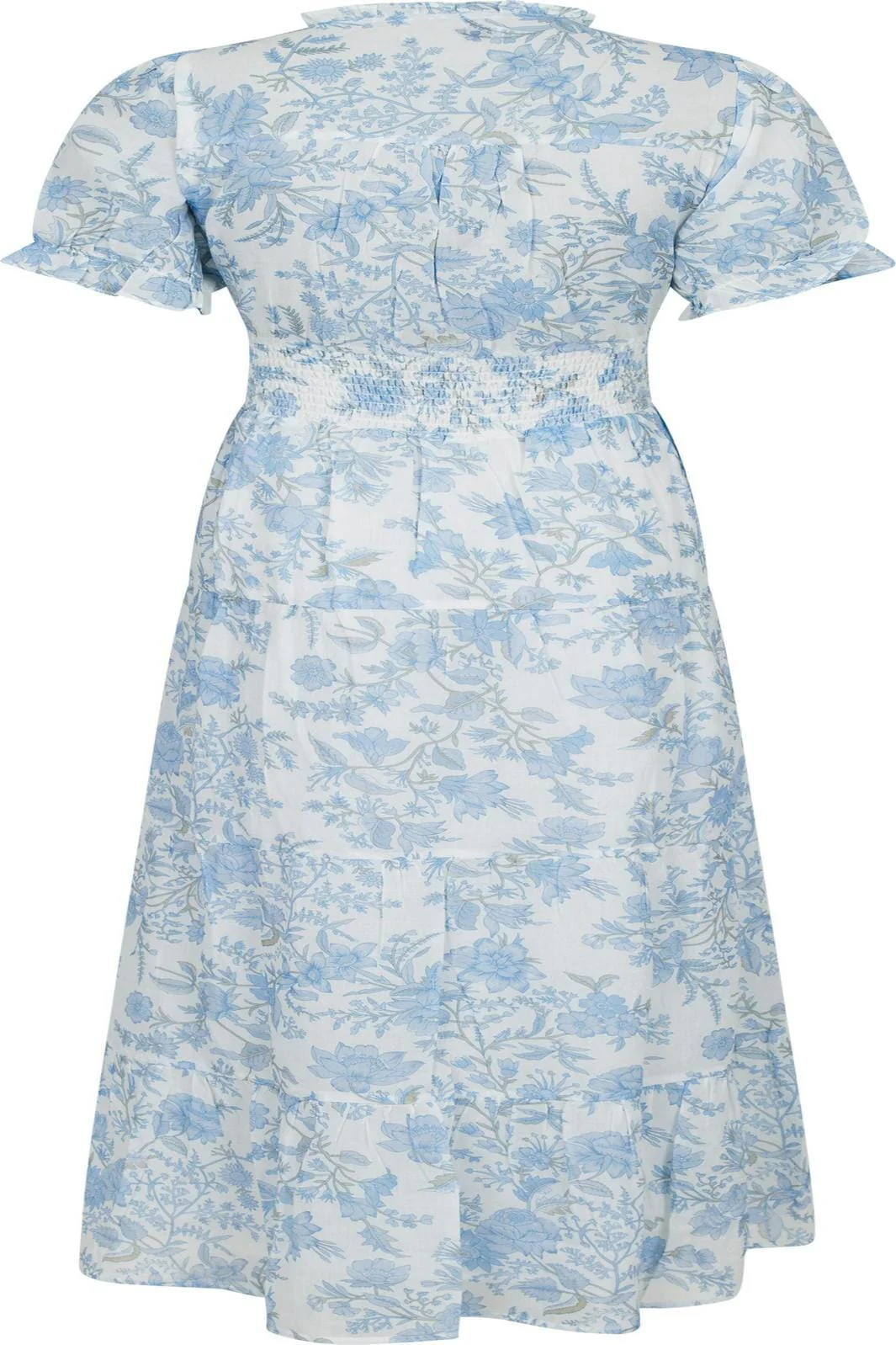 Neo Noir Kanza Rose Field Dress light blue