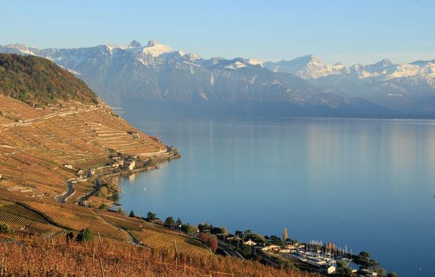 Weindegustation in Vevey als Geschenkidee