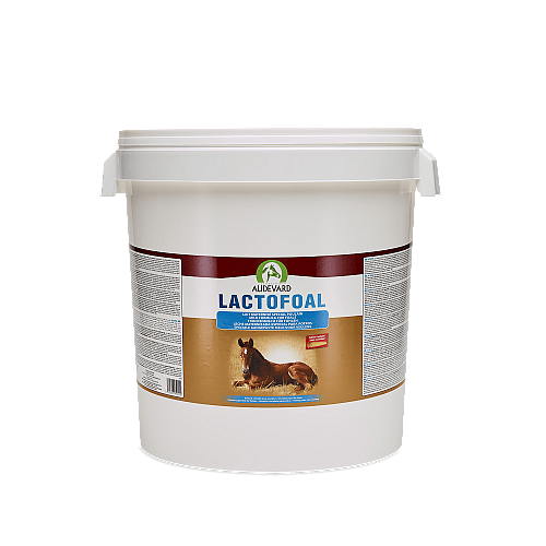 Lactofoal Audevard Veulenmelk 2.2 kg