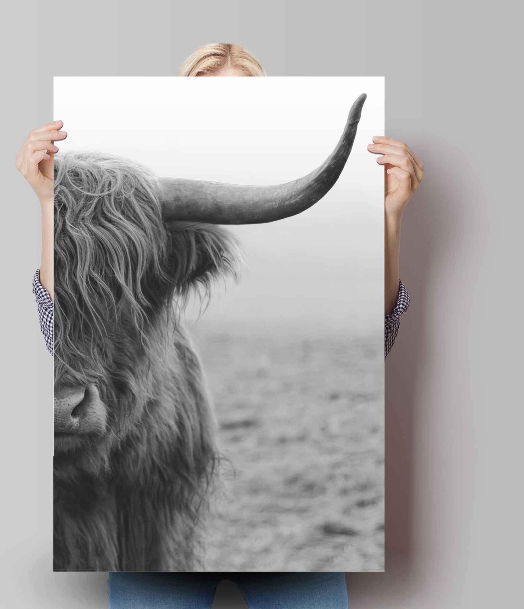 Reinders! Poster »Poster Highlander Bulle« Kuh 1 Stk. tlg.