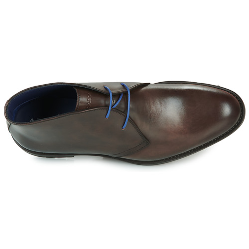 Azzaro - BELOMBRE - Marron