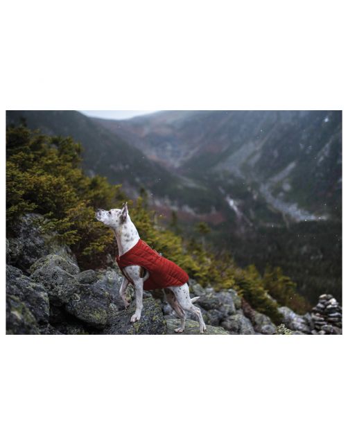 Kurgo Loft Jacket Rood&Antraciet - Hondenjas