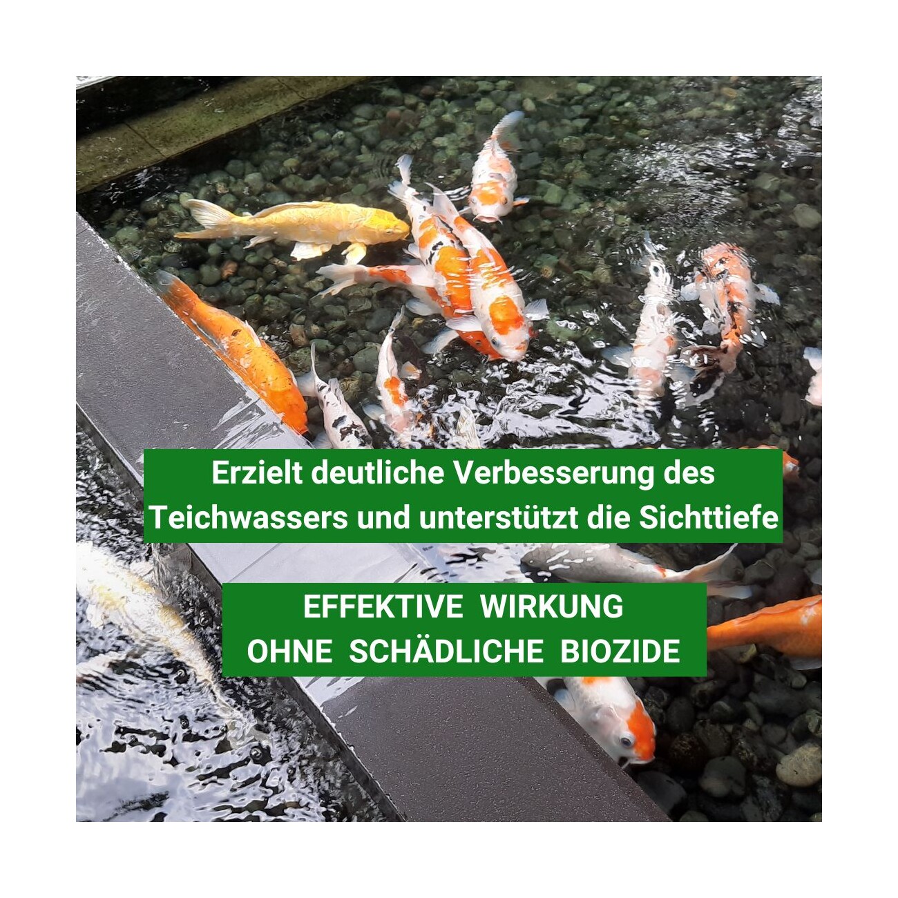 Aqua-Cereal Pond Repair 2,5kg