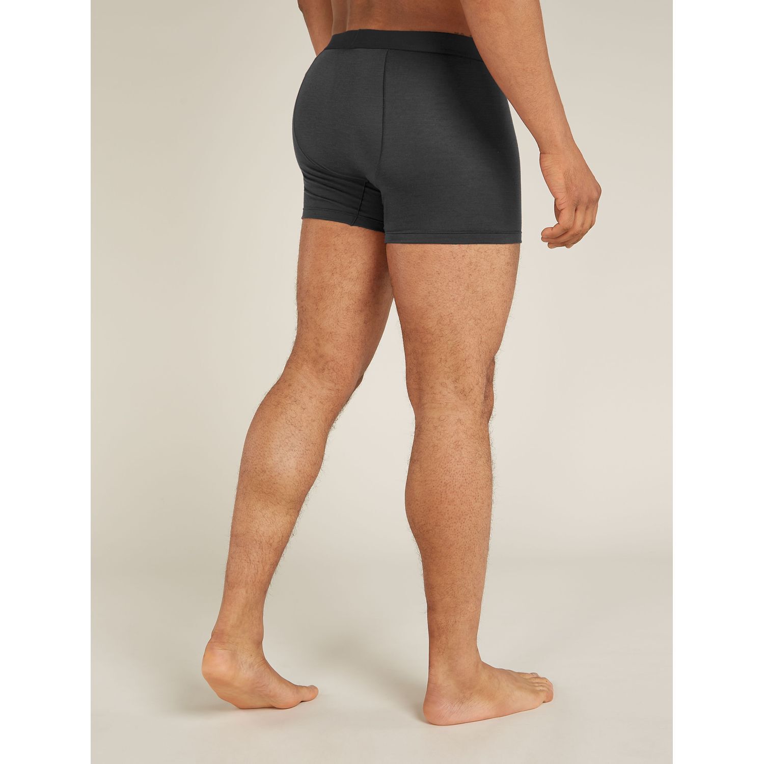 IcebreakerM Anatomica Boxers