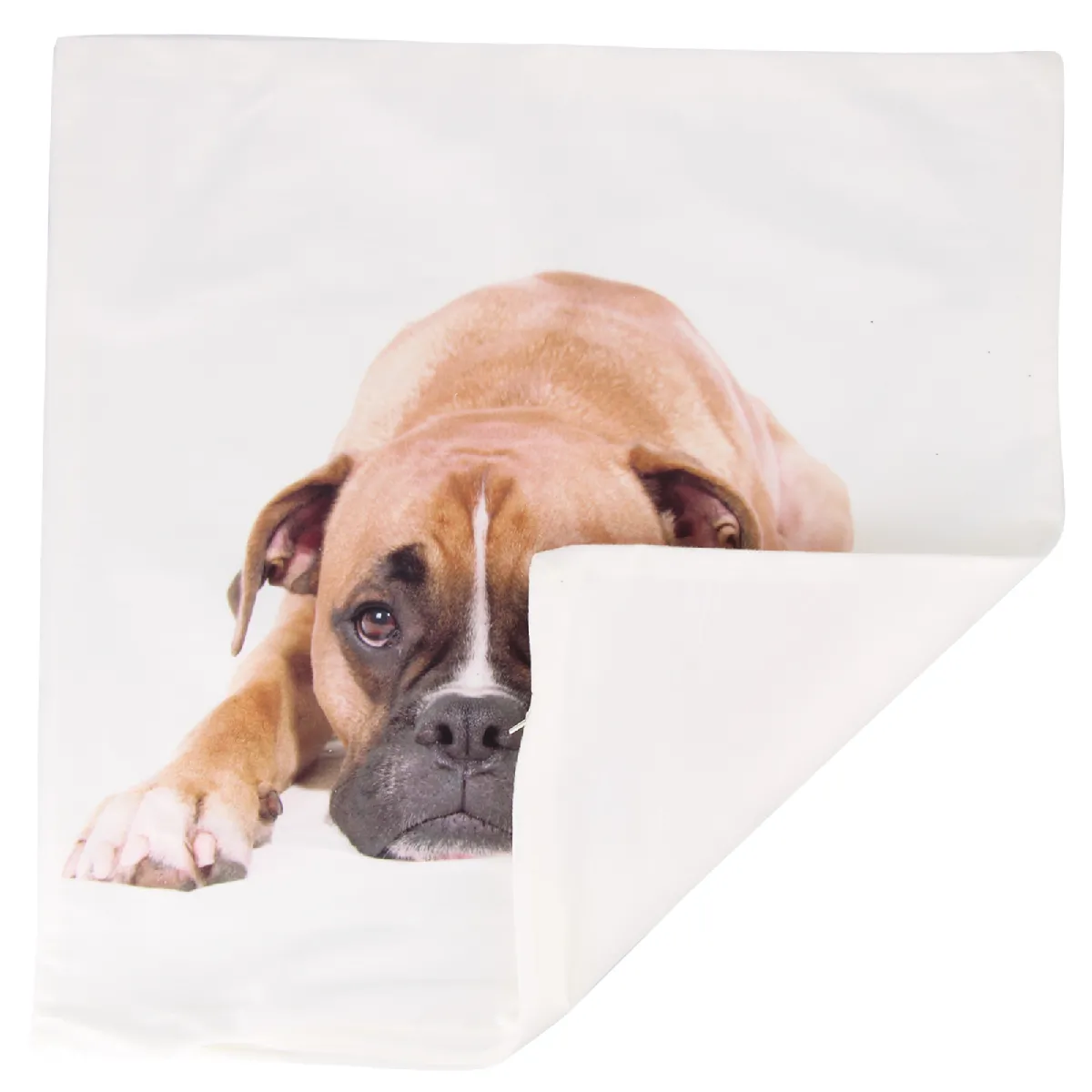 Avizar Lot de 2 Housses de Coussin Motif Chien Boxer