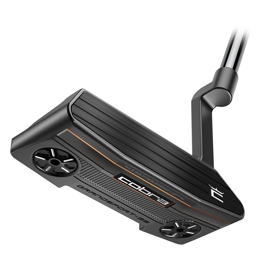 3D Printed Grandsport Armlock Putter