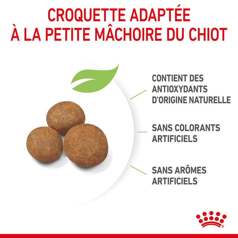 Royal Canin Giant Puppy - Croquettes chiot pas chères | Bitiba