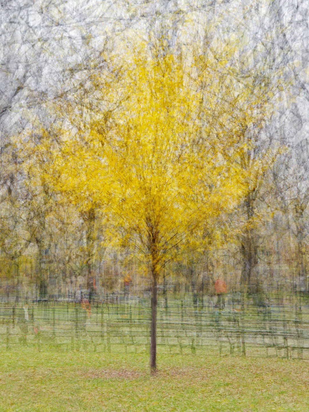 Central Park Four by Pep Ventosa - Limited Edition. Edition of: 100. Signed.