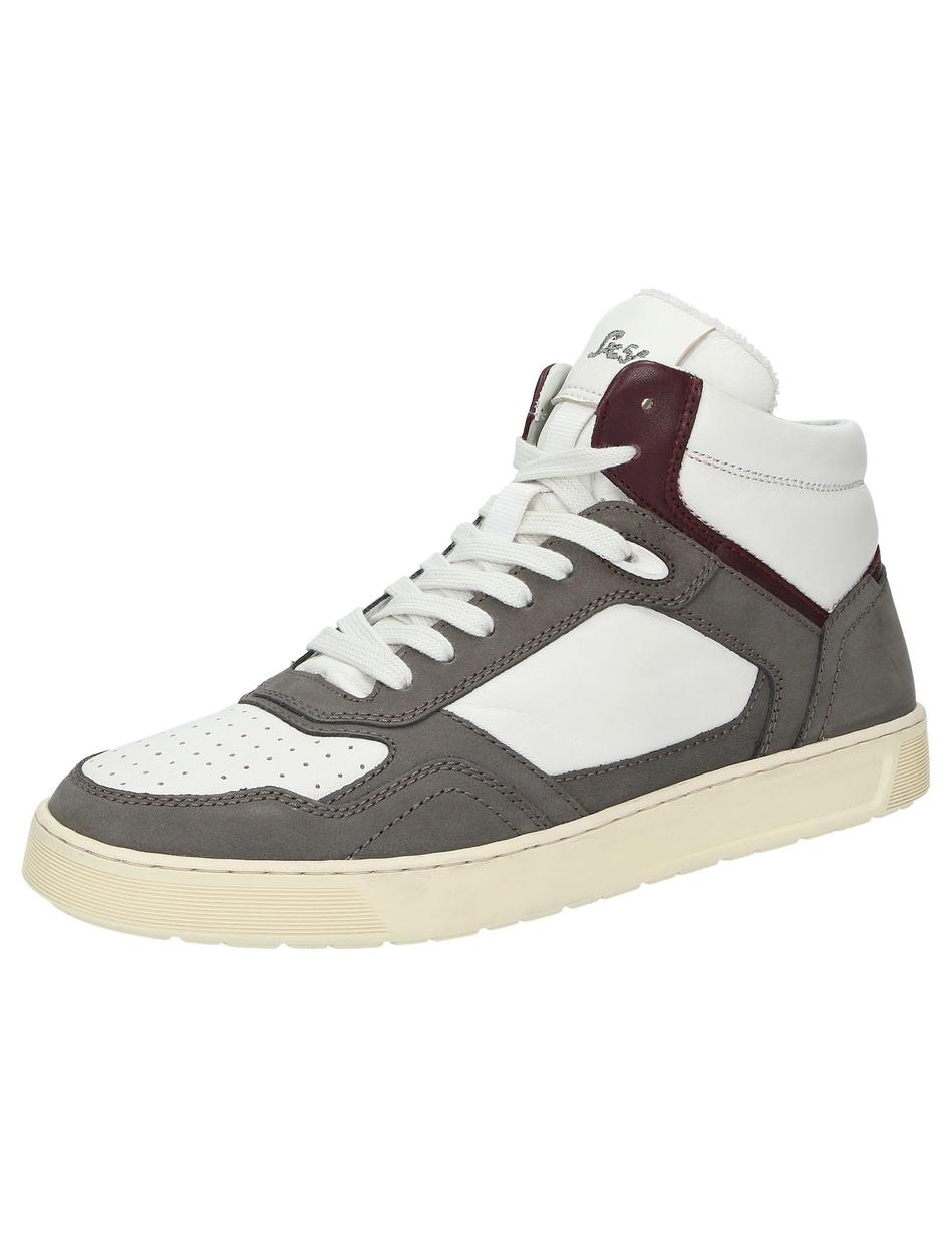 Stiefelette Tedroso-705