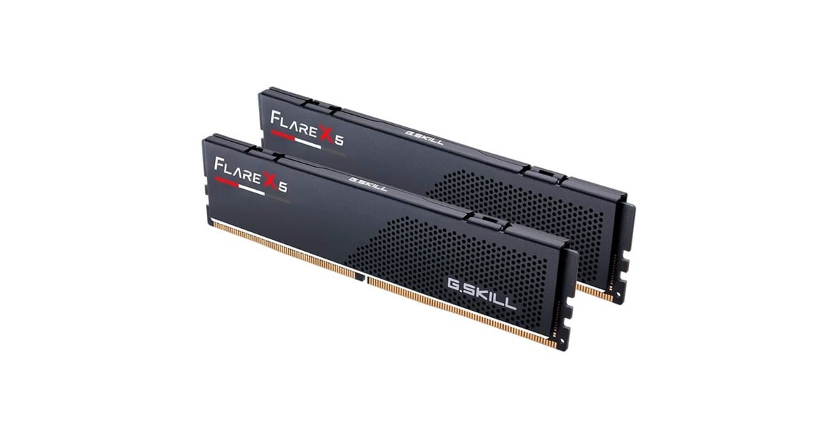 G.Skill32 GB DDR5-6000 Kit werkgeheugen  (Zwart, F5-6000J3038F16GX2-FX5, Flare X5, EXPO)