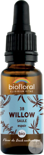 Biofloral Fleurs De Bach 38 Willow/Saule Courage Et Espoir Bio 20ml