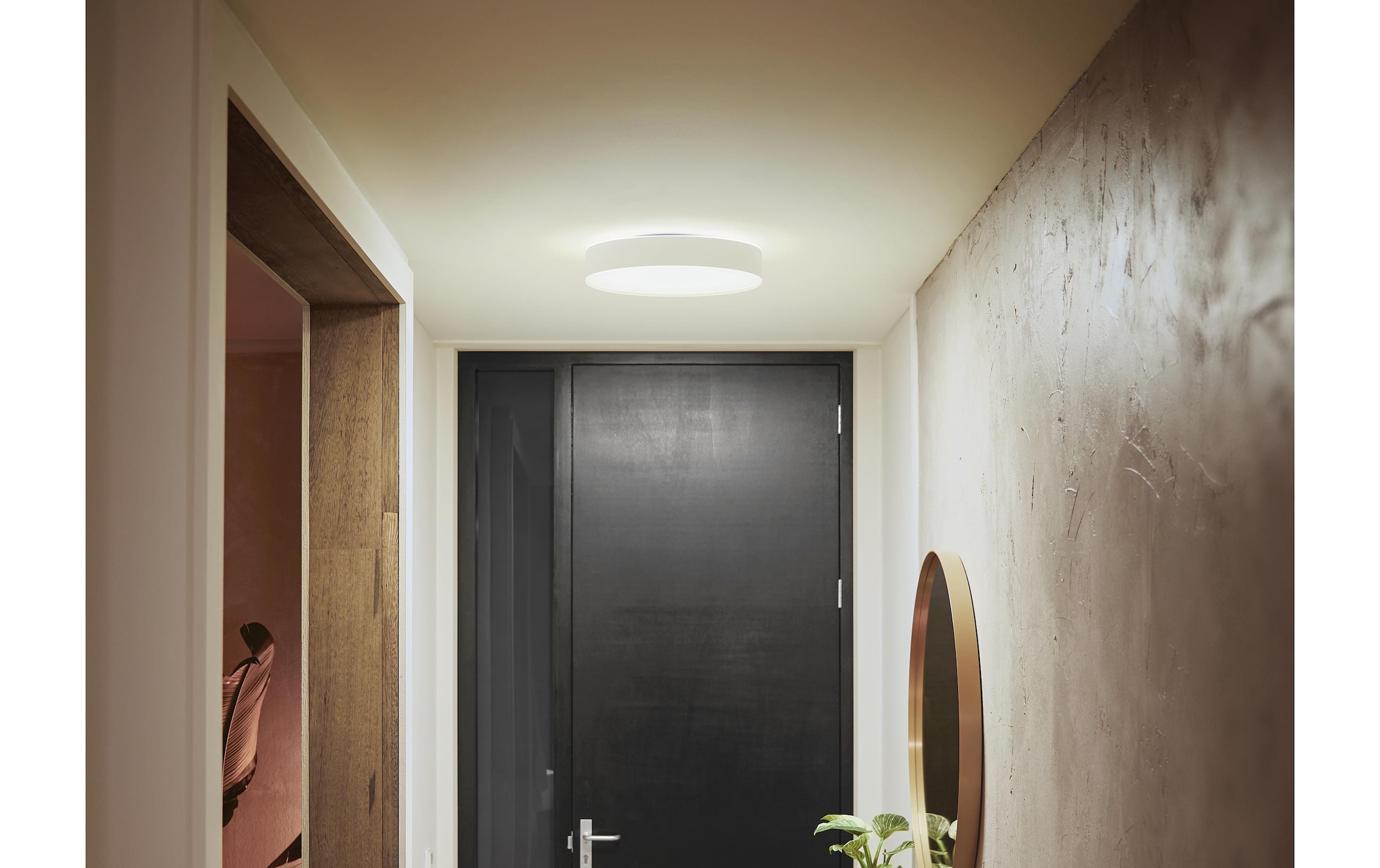 Philips Hue Deckenleuchte »Hue Deckenleuchte White« Neutralweiss | Tageslichtweiss | Warmweiss