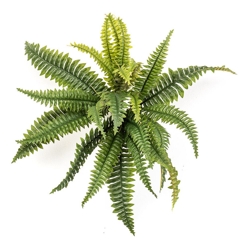 KUNSTIG PLANTE BOSTON FERN 45CM