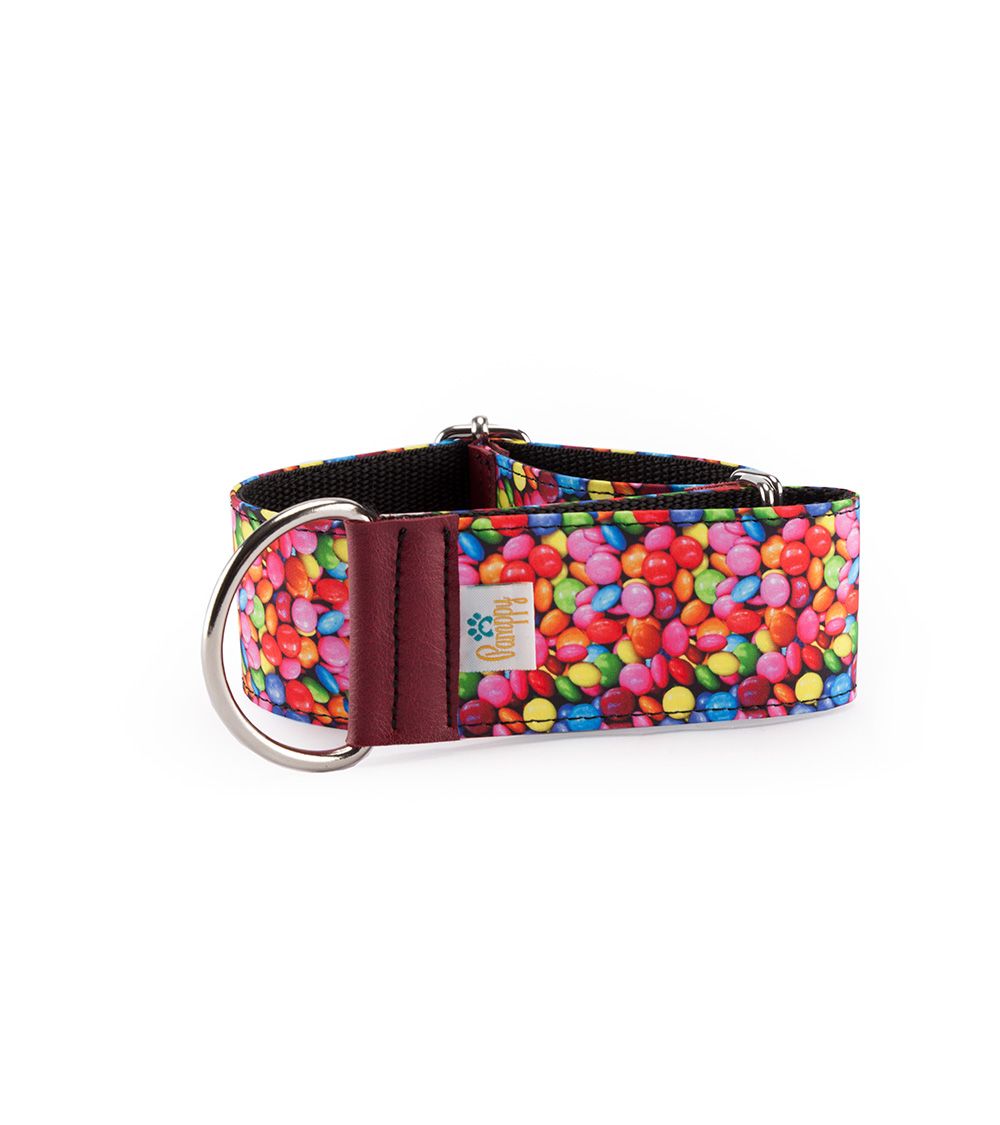 Coleira ajustável Speedy Greyhound com estampa de chocolates