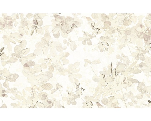 Fotobehang vliesbehang 6019A-VD4 Infinity Sheer 4-delig 400x250cm
