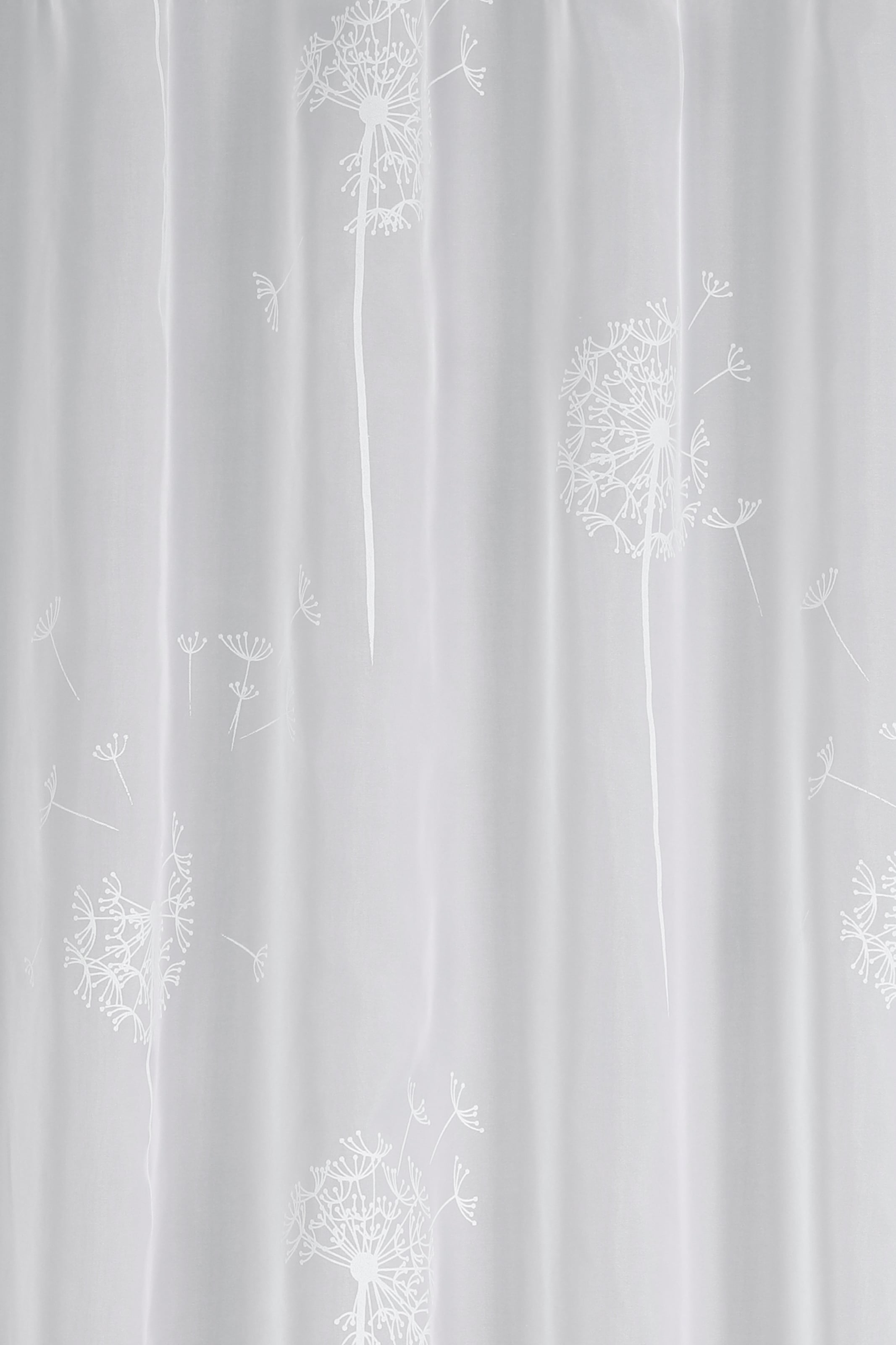 Sehlbach Gardine »Schal Voile mit Flockprint Pusteblume« Schlaufen 1 Stk. tlg. mit Schlaufen