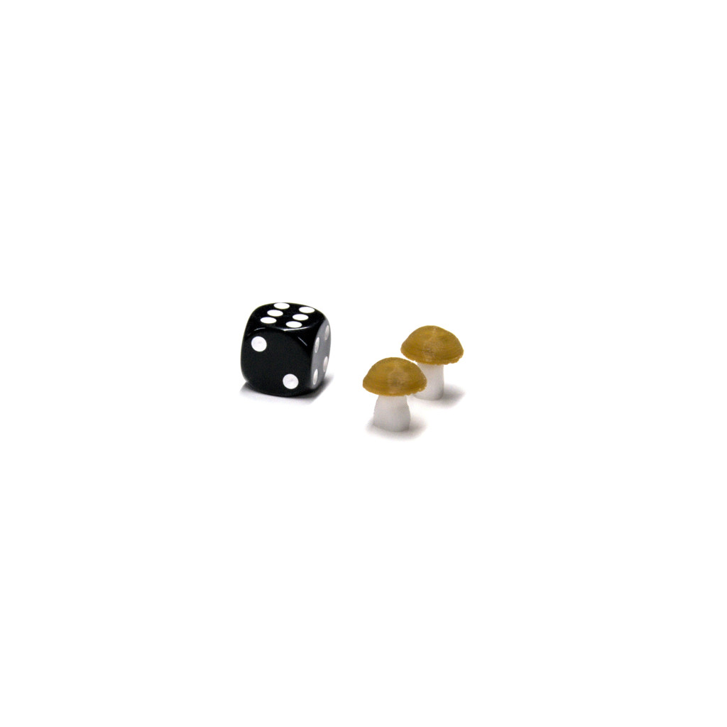 Pions en forme de champignons - x5