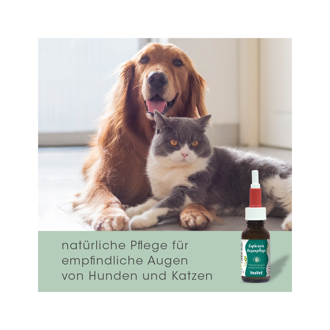 cdVet VeaVet Euphrasia Augenpflege 20ml