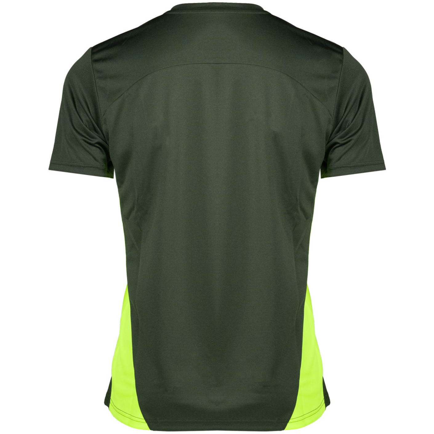 PUMA Borussia Dortmund Trainingsset 2024-2025 Groen Geel