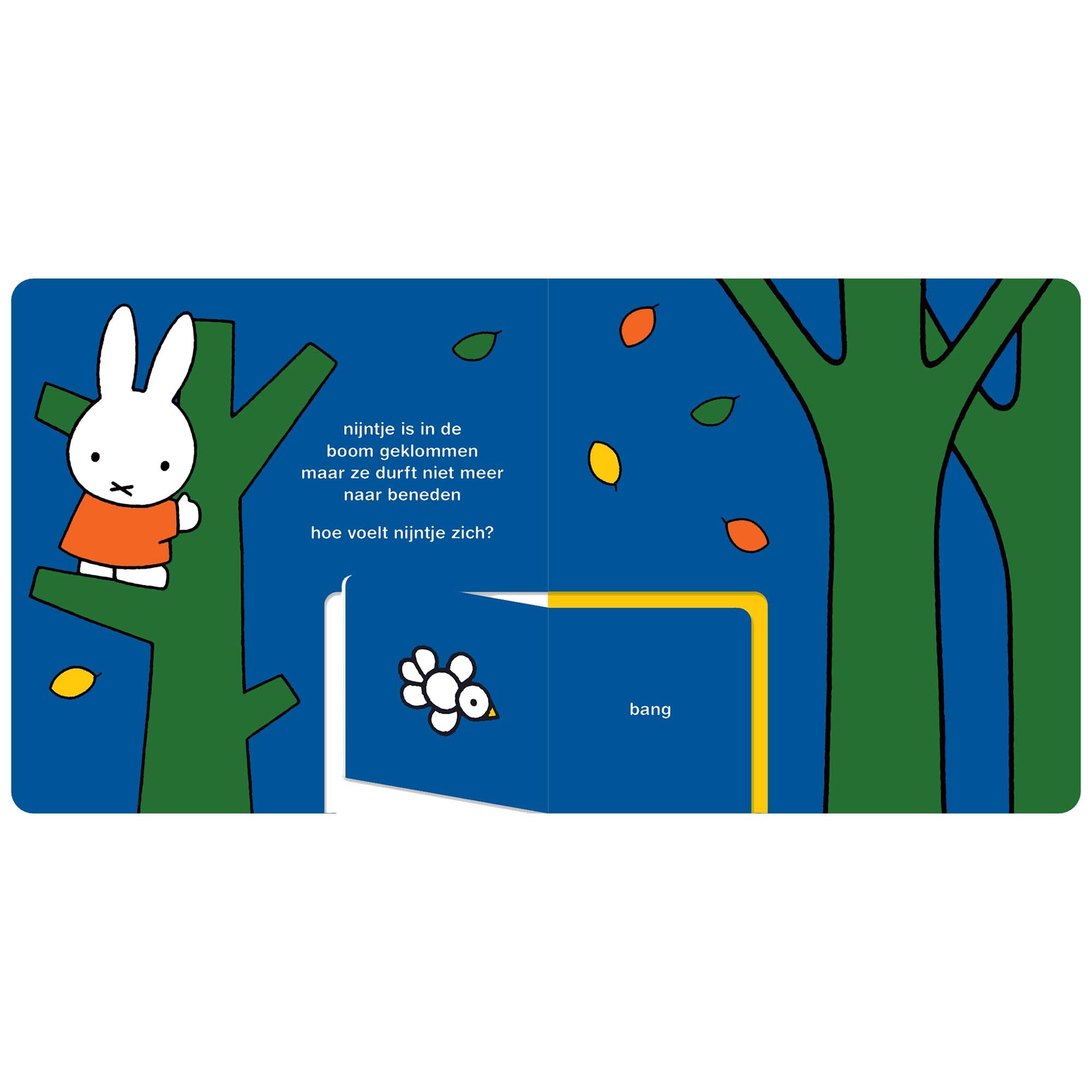 Nijntje is blij  - kinderboeken - Prénatal