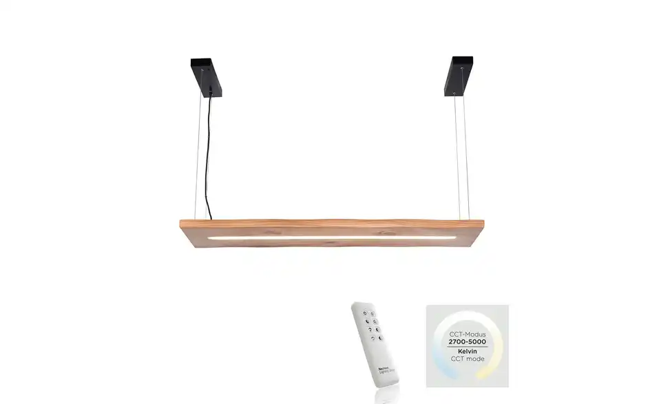 Paul Neuhaus LED Pendelleuchte