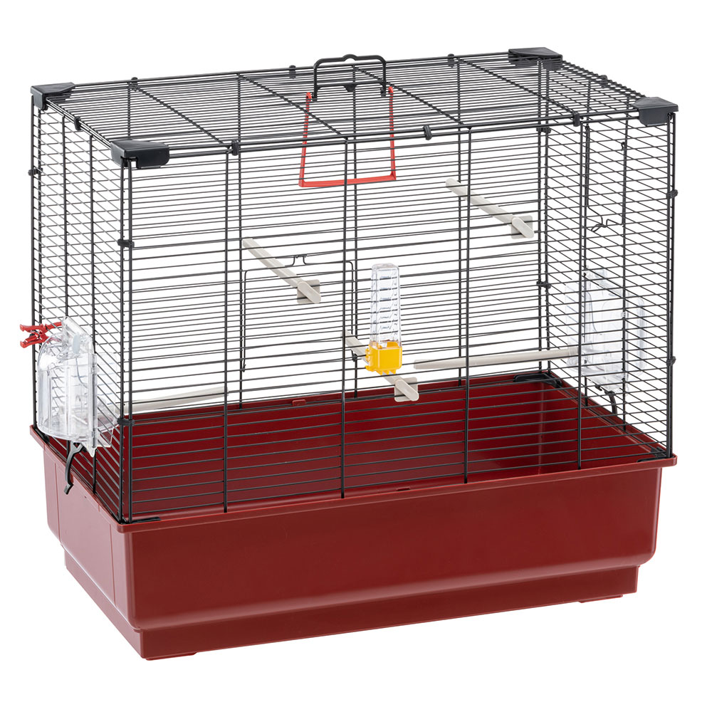 Ferplast cage oiseau piano 4, cage canari oiseaux, avec mangeoires, abreuvoir pour oiseaux, 59 x 33 x h 55 cm, avec accessoires,