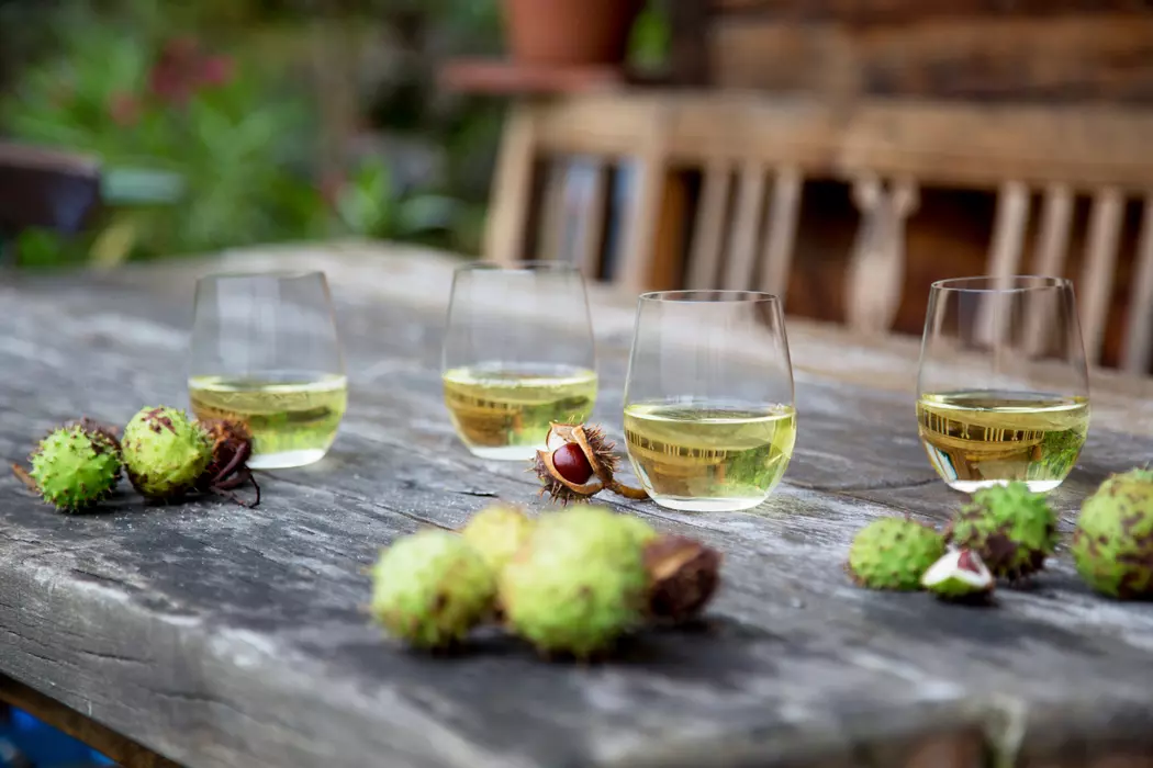 Gläserset - Riesling O Wine Tumbler 2tlg.