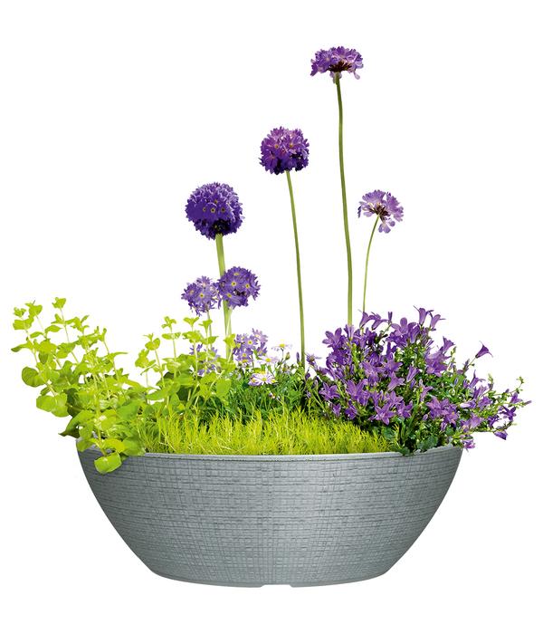 Scheurich Kunststoff-Topf Barceo Bowl, rund,